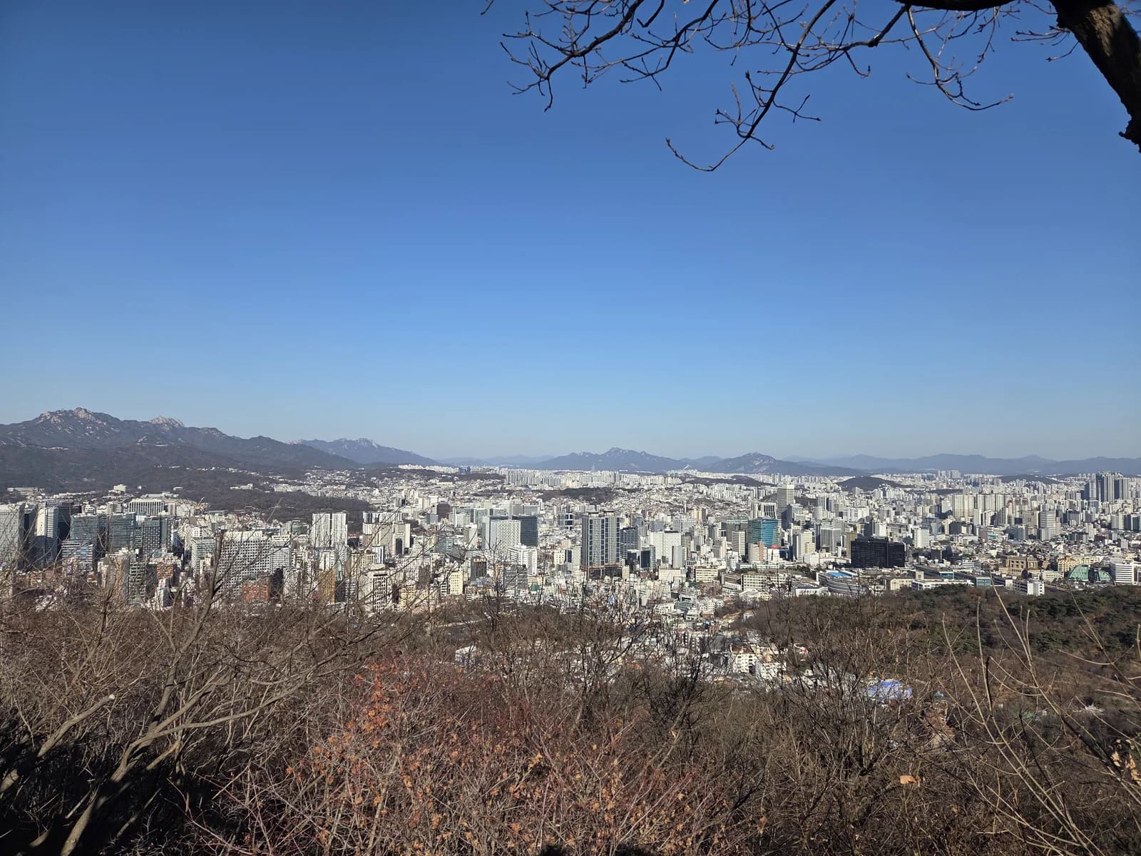 Wide winter city skyline from a hilltop overlook
