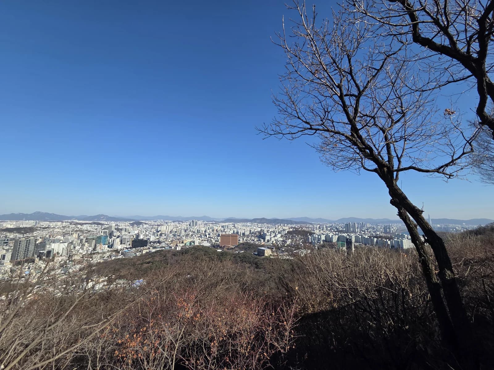 Wide winter city skyline from a hilltop overlook
